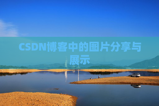 CSDN博客中的图片分享与展示